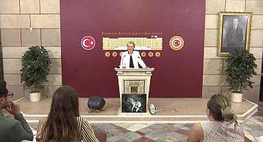 İYİ Partili Özdemir, sokak hayvanları kanun teklifine ilişkin konuştu: