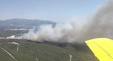 İzmir Buca'da orman yangını çıktı