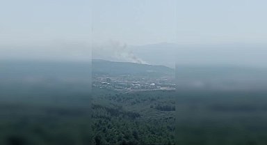 İzmir Buca'da orman yangını çıktı