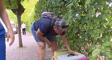 İzmir Büyükşehir Belediyesi kısırlaştırma çalışmalarına hız verdi
