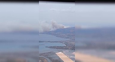 İzmir Dikili'de orman yangını