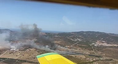İzmir Foça'da yangın çıktı