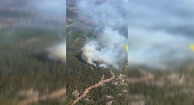 İzmir'in Bergama ilçesinde orman yangını