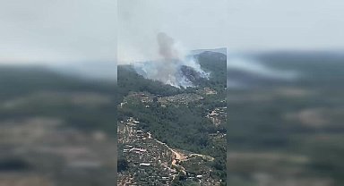 İzmir'in Menderes ilçesinde orman yangını çıktı