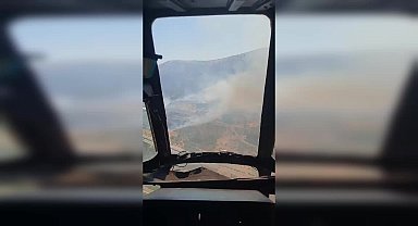 İzmir'in Selçuk ilçesinde orman yangını çıktı