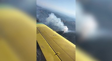 İzmir Karabağlar'da orman yangını 