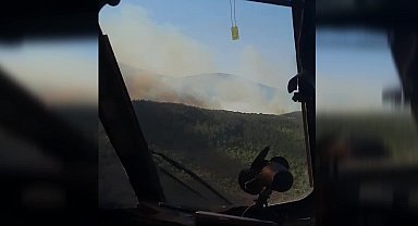 İzmir Urla'da orman yangını çıktı