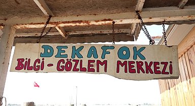 Manavgat Belediyesi, deniz kaplumbağalarına yönelik çalışmalarını sürdürüyor