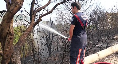 Manisa Büyükşehir, İzmir Bornova'daki yangın söndürme çalışmalarına destek oldu