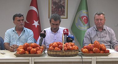 Manisa'da 9 ilçenin Ziraat Odası başkanlarından domates fiyatına tepki: Acilen bu işe el atılmalı, ihracat desteklenmeli