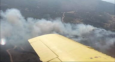 Manisa’da orman yangını