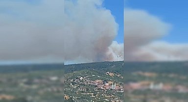Manisa'nın Soma ilçesinde ormanlık alanda yangın çıktı
