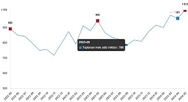 Mayıs ayında tavuk eti üretimi 216 bin 453 ton oldu