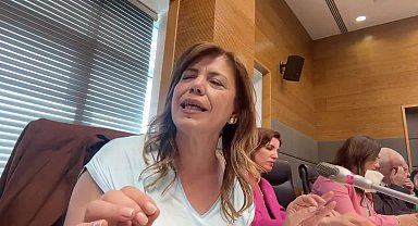 Meral Daniş Beştaş: