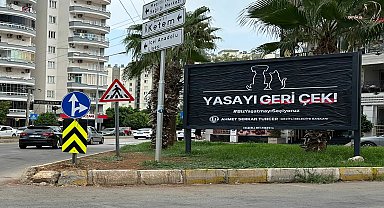 Mezitli Belediye Başkanı Tuncer'den sokak hayvanları için