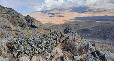 MSB kaynaklarından ‘Suriye’ açıklaması...