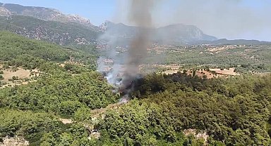 Muğla Milas'ta orman yangını