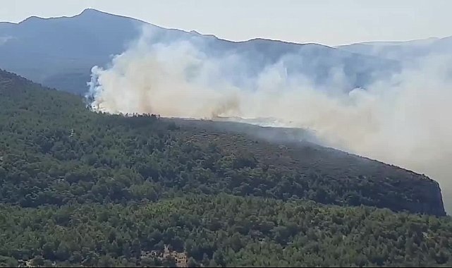 Muğla Milas’ta orman yangını