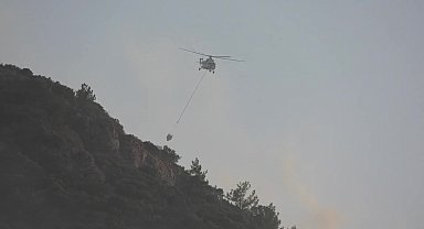 Muğla Valisi Akbıyık'dan Bodrum'daki orman yangınına ilişkin açıklama: