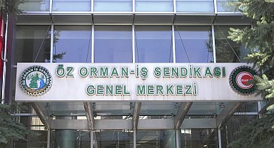 Öz Orman-İş Sendikası Genel Başkanı Aslan, artan orman yangınlarını değerlendirdi: