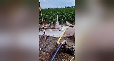Samsun'da kuvvetli yağış, Bafra Ovası'ndaki tarım alanlarına zarar verdi...CHP Samsun İl Başkanı Özdağ: