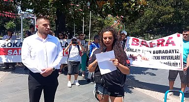 Samsunlu hayvan hakları savunucuları eylemde: