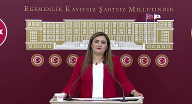 Sevda Erdan Kılıç: Bu yılın ilk altı ayında kadın cinayetleri kapsamında 24 çocuk hayatını kaybetti