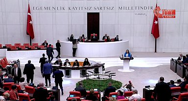 Sevda Erdan Kılıç: Roman kadınlarının yüzde 48'i çoçuk yaşta evleniyor