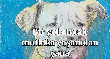 Sezen Aksu ve Ceylan Ertem 'Ötanazi' teklifine karşı söyledi: 