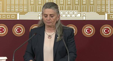 Sibel Suiçmez'den 'sokak hayvanları' çağrısı: 