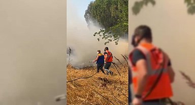 Silivri’de otluk alanda yangın... Başkan Balcıoğlu: “Yangınların çoğu kontrol altında”