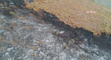 Sinop’ta çıkan yangında 5 hektar alan zarar gördü