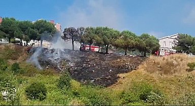 Sinop’ta çıkan yangında çam ağaçları zarar gördü