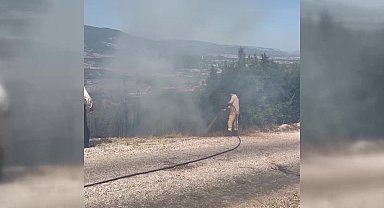Sinop'ta orman yangını