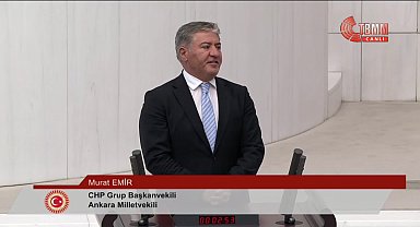 Sokak hayvanları kanun teklifi görüşmeleri... Murat Emir: 