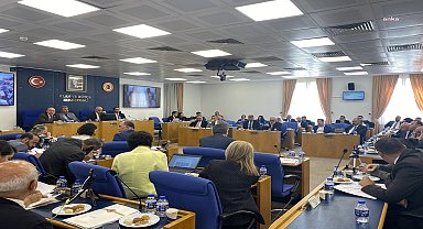 Sokak hayvanlarıyla ilgili kanun teklifinin görüşmeleri ertelendi, ilk 7 madde kabul edildi