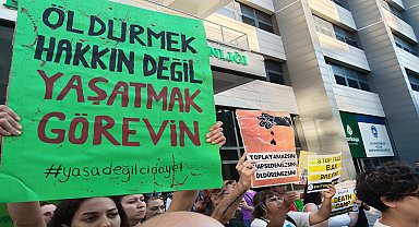 Sokak hayvanlarıyla ilgili yasa yürürlüğe girdikten sonra belediyelerin sorumlulukları başlıyor