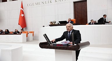 Tahsin Becan’dan sokak hayvanlarıyla ilgili kanun teklifine tepki: Teklifin bu şekilde yasalaşması halinde görülmemiş bir hayvan katliamı yaşanacak