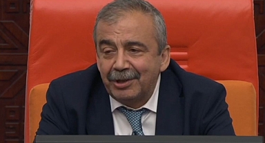 TBMM Başkanvekili Sırrı Süreyya Önder: 