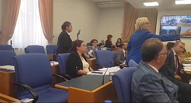 TBMM'de sokak hayvanları ile ilgili kanun teklifi görüşmeleri... DEM Parti'li Koca'nın