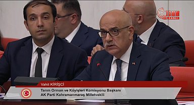 TBMM'de sokak hayvanlarına ilişkin kanun teklifinin görüşmelerinde komisyon başkanı Kirişci milletvekillerinin sorularını yanıtladı