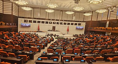 TBMM Genel Kurulu'nda sokak hayvanları ile ilgili kanun teklifi görüşülüyor