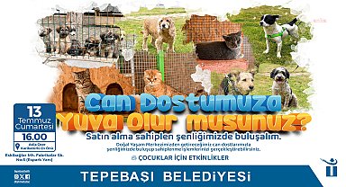 Tepebaşı Belediyesi, can dostları düzenleyeceği etkinlikte sahiplendirecek 