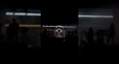 Ünlü şarkıcı Sertap Erener’den AKP’nin sokak hayvanlarıyla ilgili teklifine tepki: “Böyle bir şeyi biz kaldıramayız. Zaten çok acımız var, bir de bunu eklemeyelim”