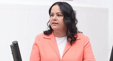 AKP'li vekil Ök, şirketlerinin vergi ödemediği iddialarını kabul etti