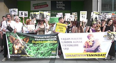 Yaşam İçin Yasa İnisiyatifi, 44 gündür hayvan hakları nöbetinde: