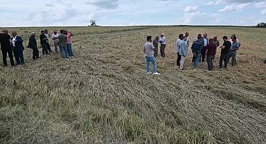 Yozgat’ta afetten zarar gören tarım alanları için çiftçilere mali destek verilecek