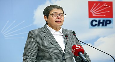 Zeliha Aksaz Şahbaz'dan sokak hayvanlarıyla ilgili kanun teklifine eleştiri: 