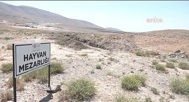  ANKA Haber Ajansı, Niğde Belediyesi'ne ait hayvan mezarlığını görüntüledi: Ölü hayvanlar açıkta bırakıldı 