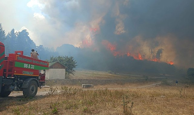 Ankara'nın Kızılcahamam ilçesinde orman yangını